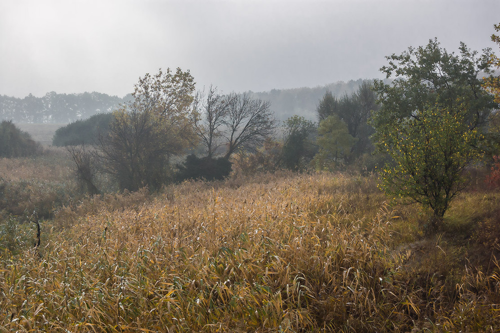 Фотографія *** / Евгений Шамай / photographers.ua
