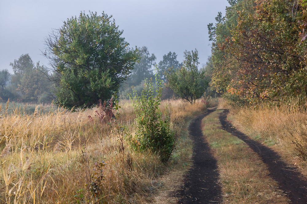 Фотографія *** / Евгений Шамай / photographers.ua