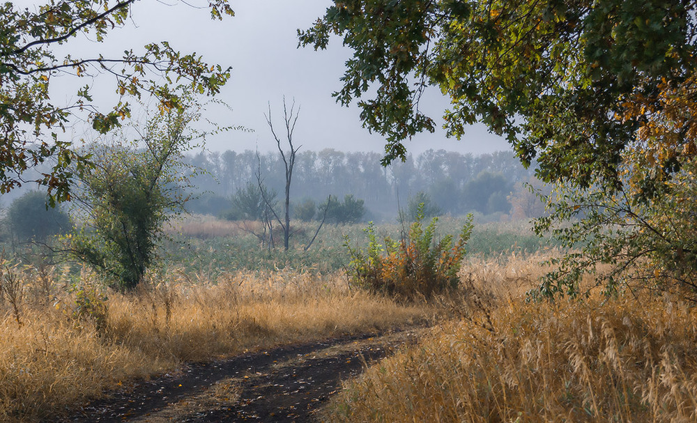 Фотографія *** / Евгений Шамай / photographers.ua