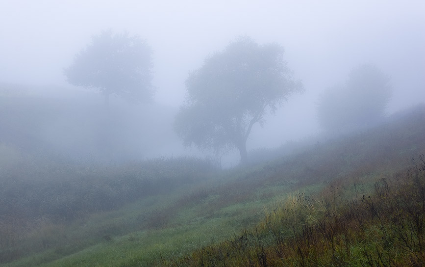 Фотографія *** / Евгений Шамай / photographers.ua