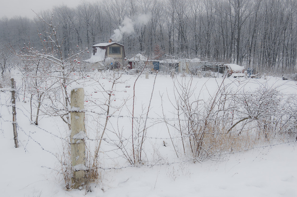 Фотографія *** / Евгений Шамай / photographers.ua
