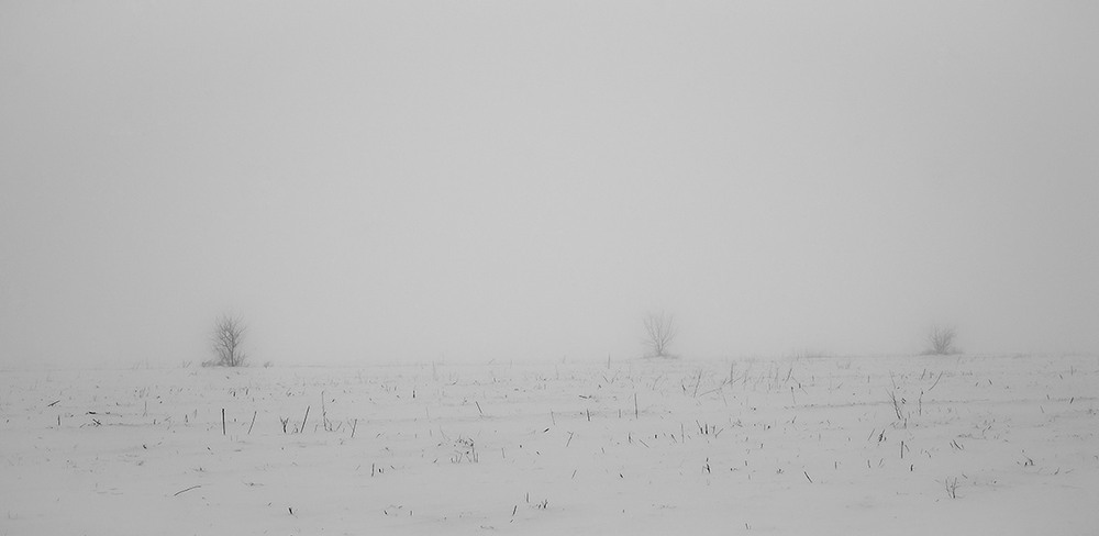 Фотографія *** / Евгений Шамай / photographers.ua