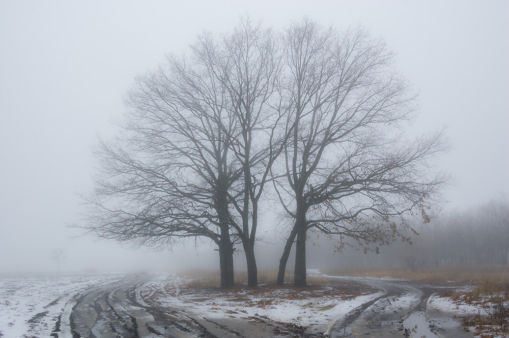 Фотографія *** / Евгений Шамай / photographers.ua