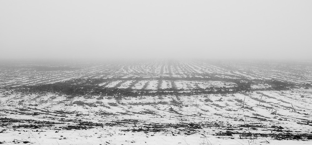 Фотографія *** / Евгений Шамай / photographers.ua