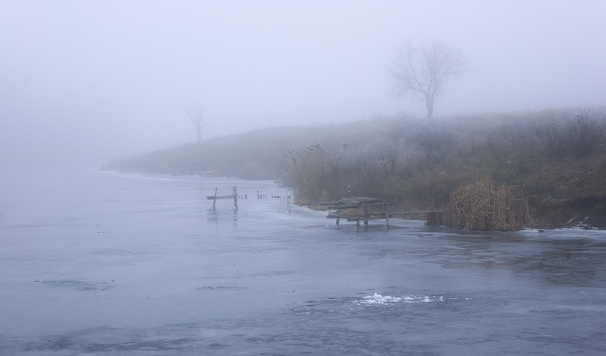 Фотографія *** / Евгений Шамай / photographers.ua