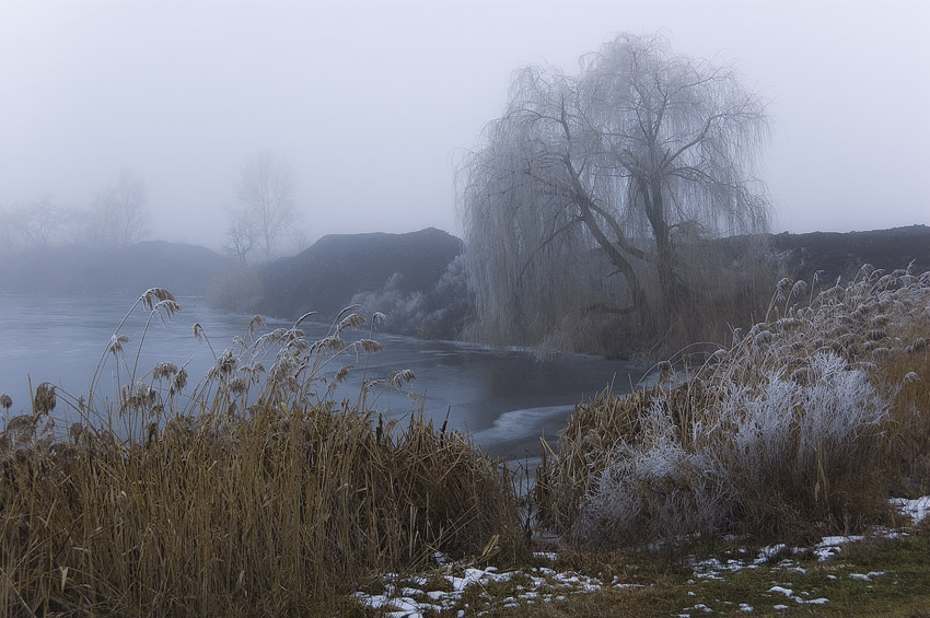 Фотографія *** / Евгений Шамай / photographers.ua