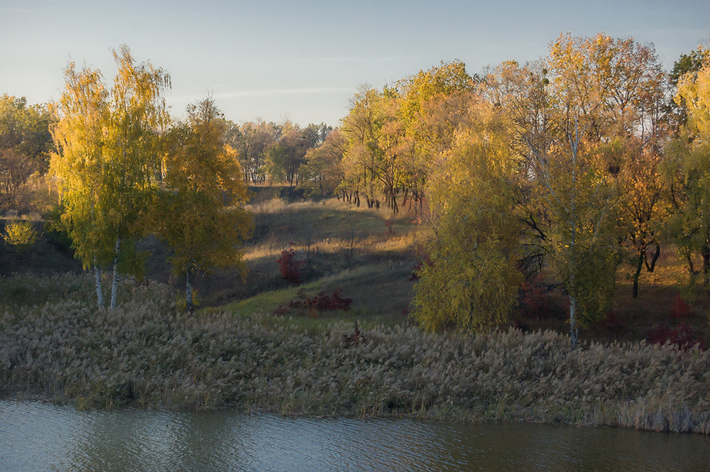 Фотографія *** / Евгений Шамай / photographers.ua