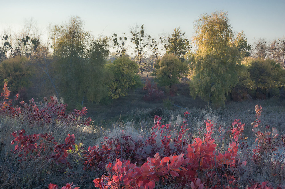 Фотографія *** / Евгений Шамай / photographers.ua