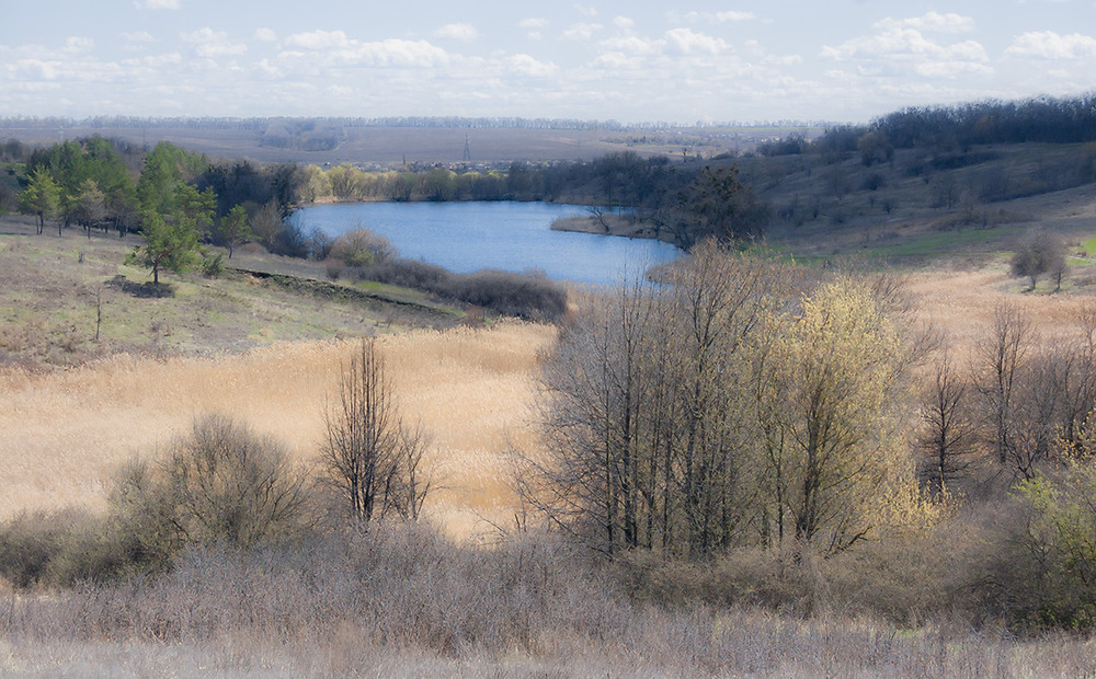 Фотографія *** / Евгений Шамай / photographers.ua