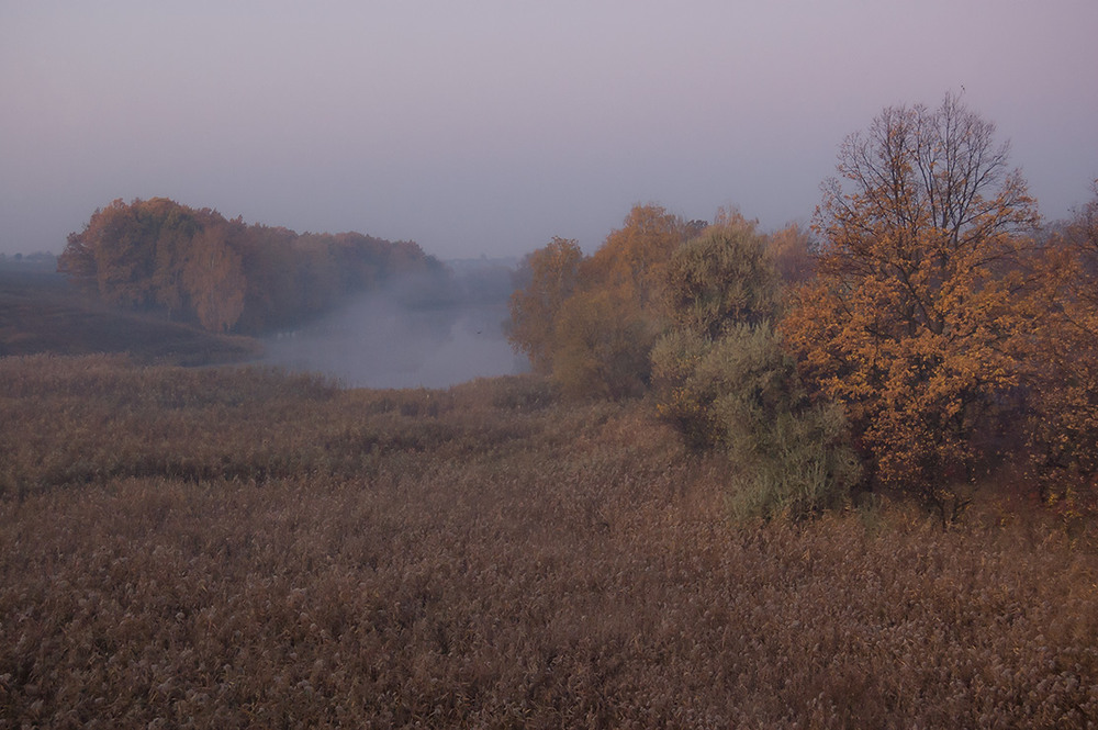 Фотографія *** / Евгений Шамай / photographers.ua