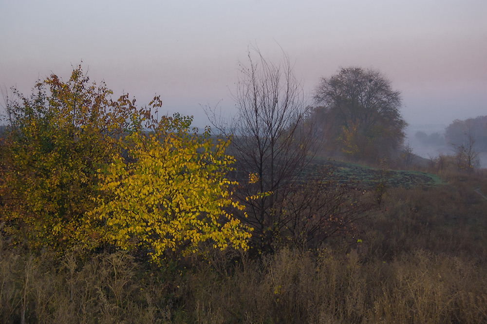 Фотографія *** / Евгений Шамай / photographers.ua