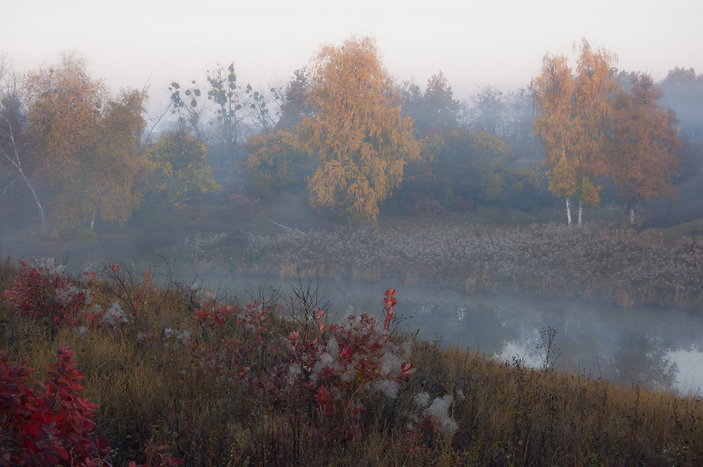 Фотографія *** / Евгений Шамай / photographers.ua