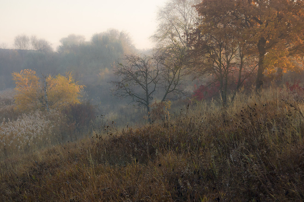 Фотографія *** / Евгений Шамай / photographers.ua