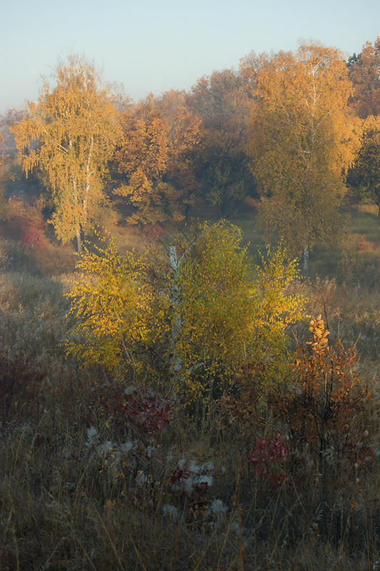 Фотографія *** / Евгений Шамай / photographers.ua