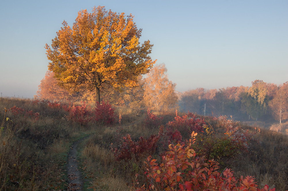 Фотографія *** / Евгений Шамай / photographers.ua