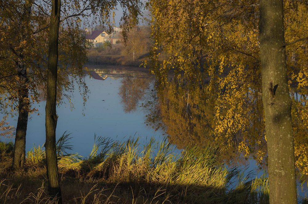 Фотографія *** / Евгений Шамай / photographers.ua