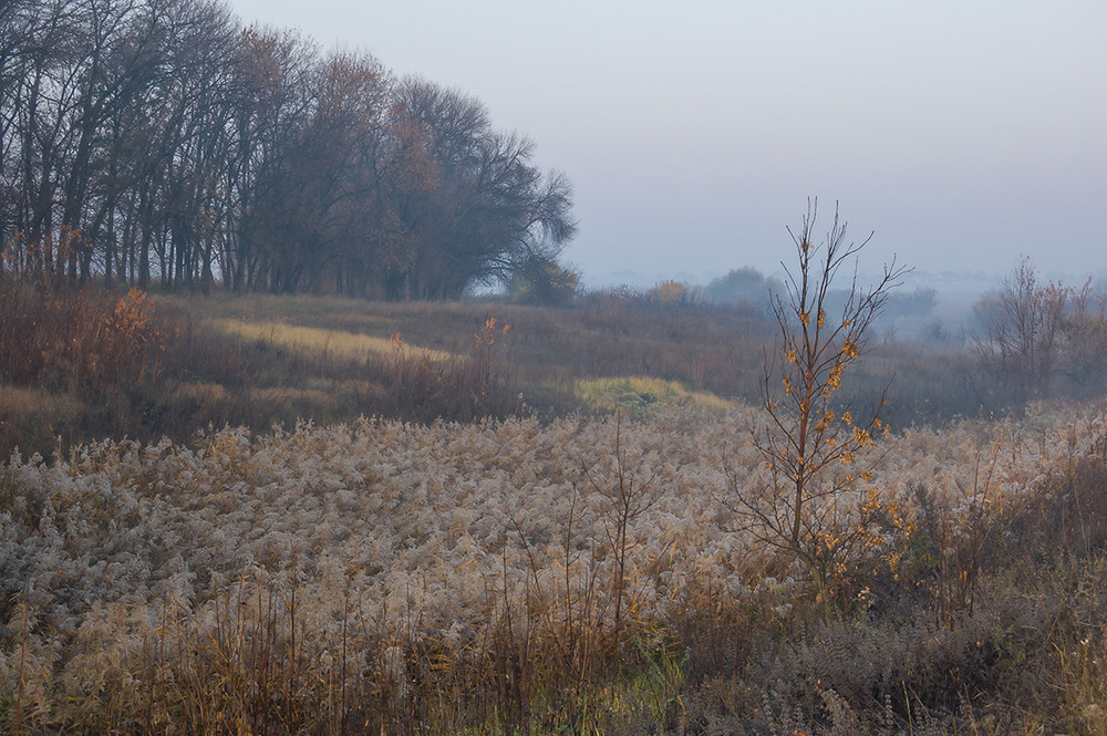 Фотографія *** / Евгений Шамай / photographers.ua