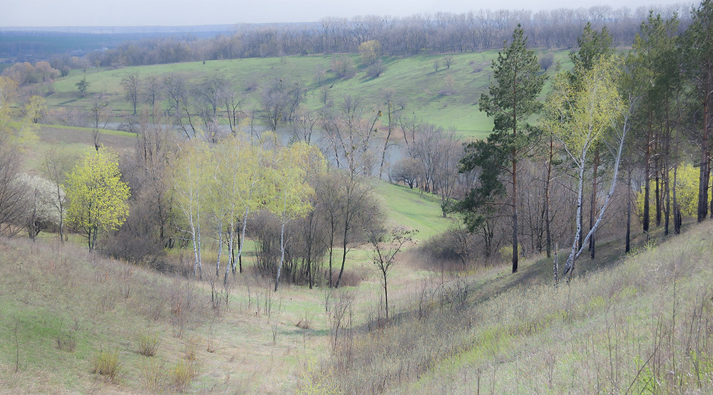 Фотографія *** / Евгений Шамай / photographers.ua