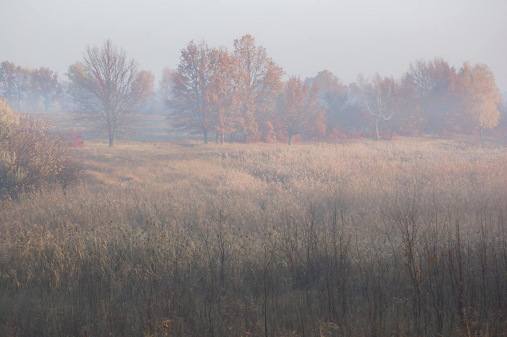 Фотографія *** / Евгений Шамай / photographers.ua