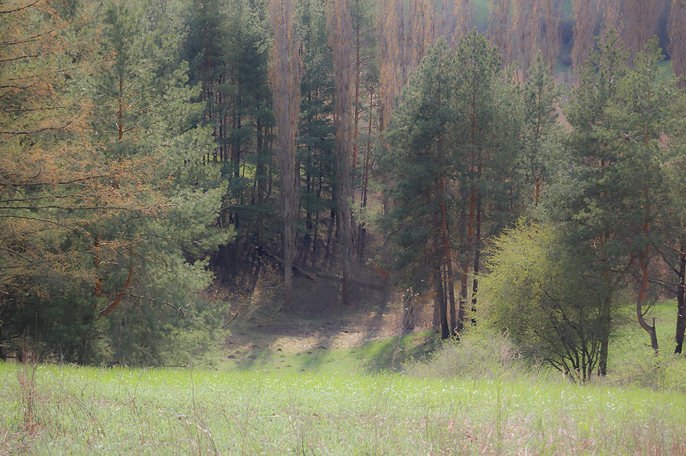 Фотографія *** / Евгений Шамай / photographers.ua