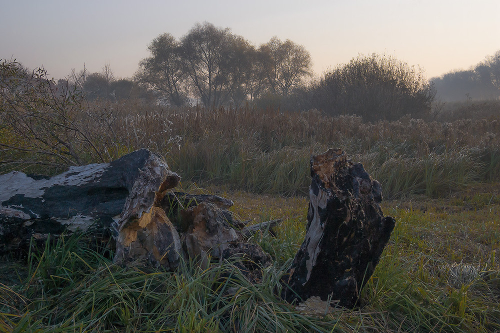 Фотографія *** / Евгений Шамай / photographers.ua