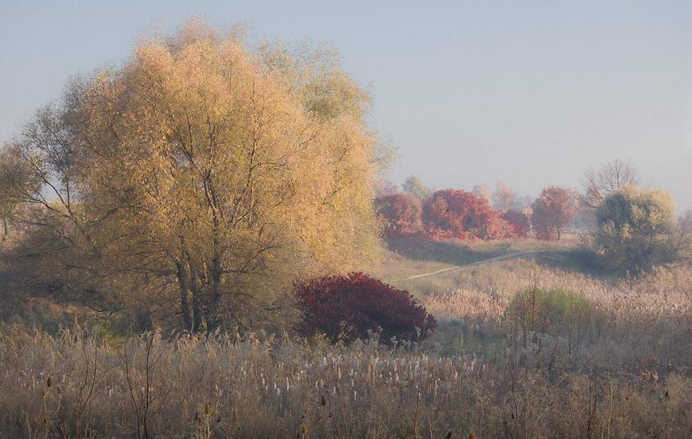 Фотографія *** / Евгений Шамай / photographers.ua