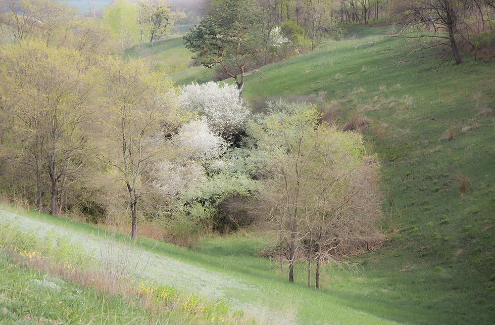 Фотографія *** / Евгений Шамай / photographers.ua