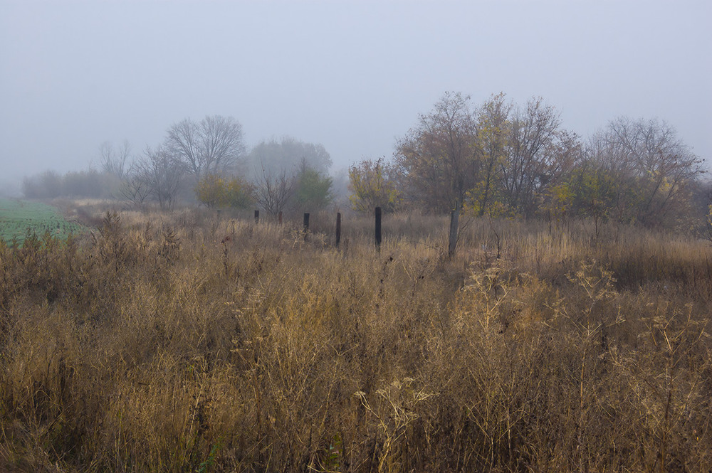 Фотографія *** / Евгений Шамай / photographers.ua
