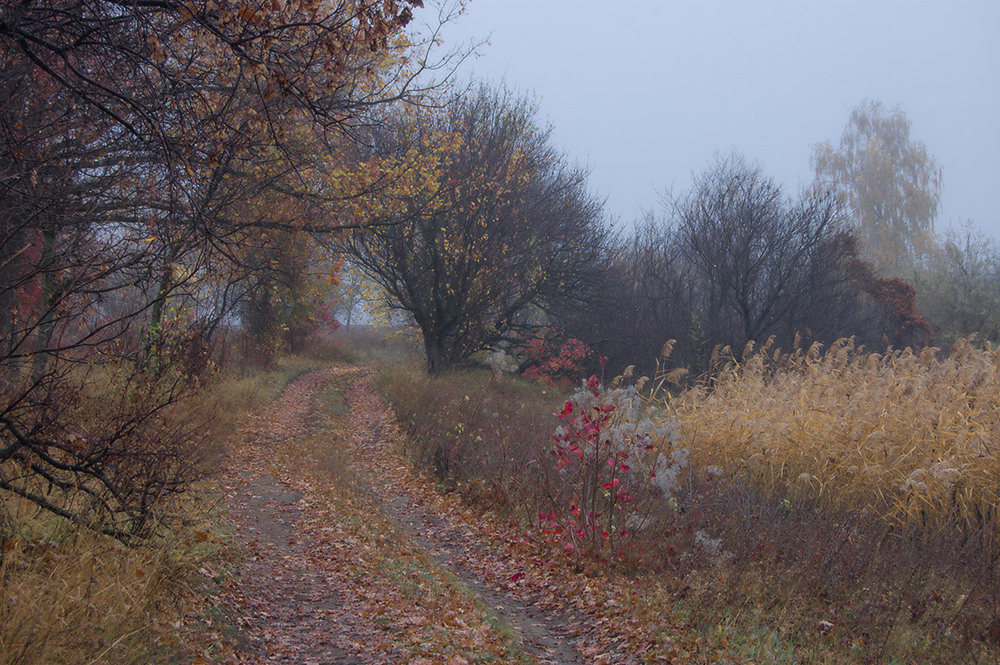 Фотографія *** / Евгений Шамай / photographers.ua
