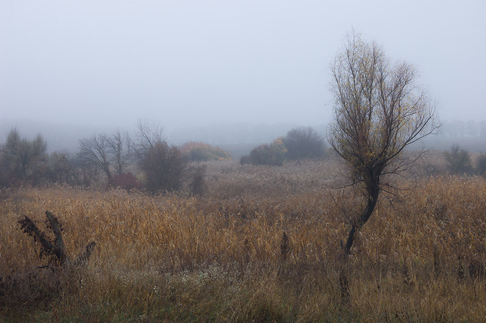 Фотографія *** / Евгений Шамай / photographers.ua