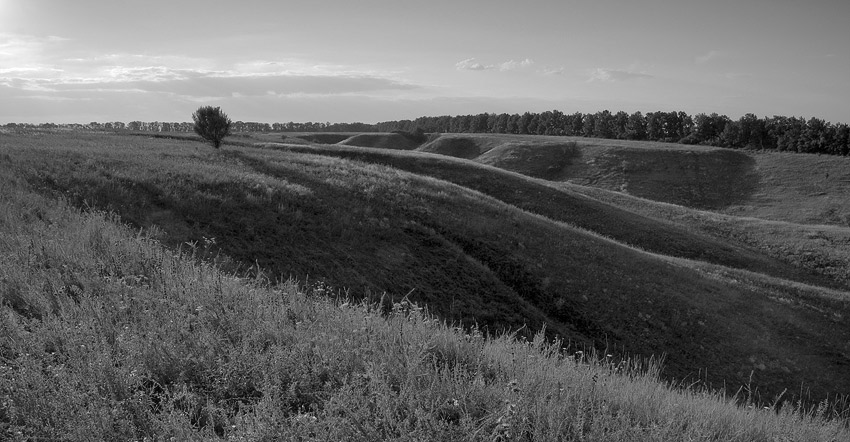 Фотографія *** / Евгений Шамай / photographers.ua