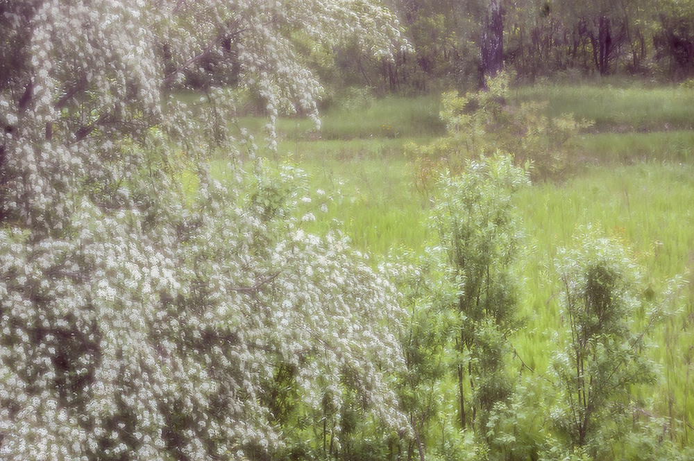 Фотографія *** / Евгений Шамай / photographers.ua