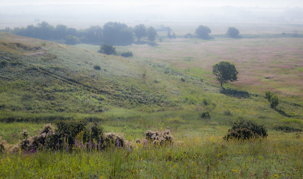 Фотографія *** / Евгений Шамай / photographers.ua
