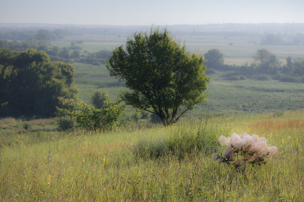 Фотографія *** / Евгений Шамай / photographers.ua