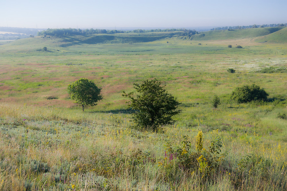 Фотографія *** / Евгений Шамай / photographers.ua