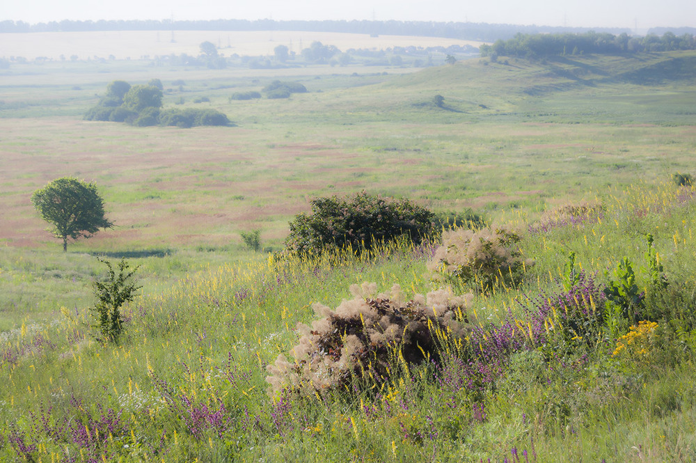 Фотографія *** / Евгений Шамай / photographers.ua