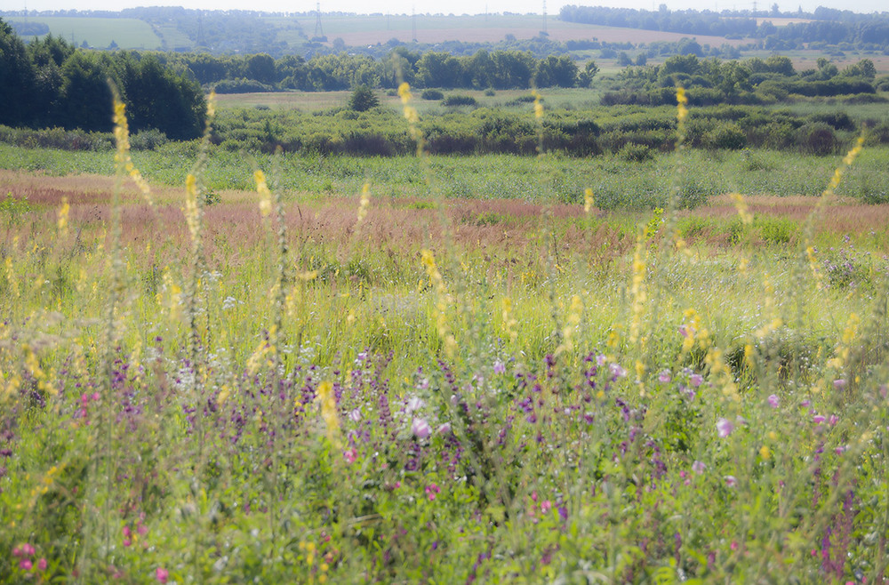 Фотографія *** / Евгений Шамай / photographers.ua