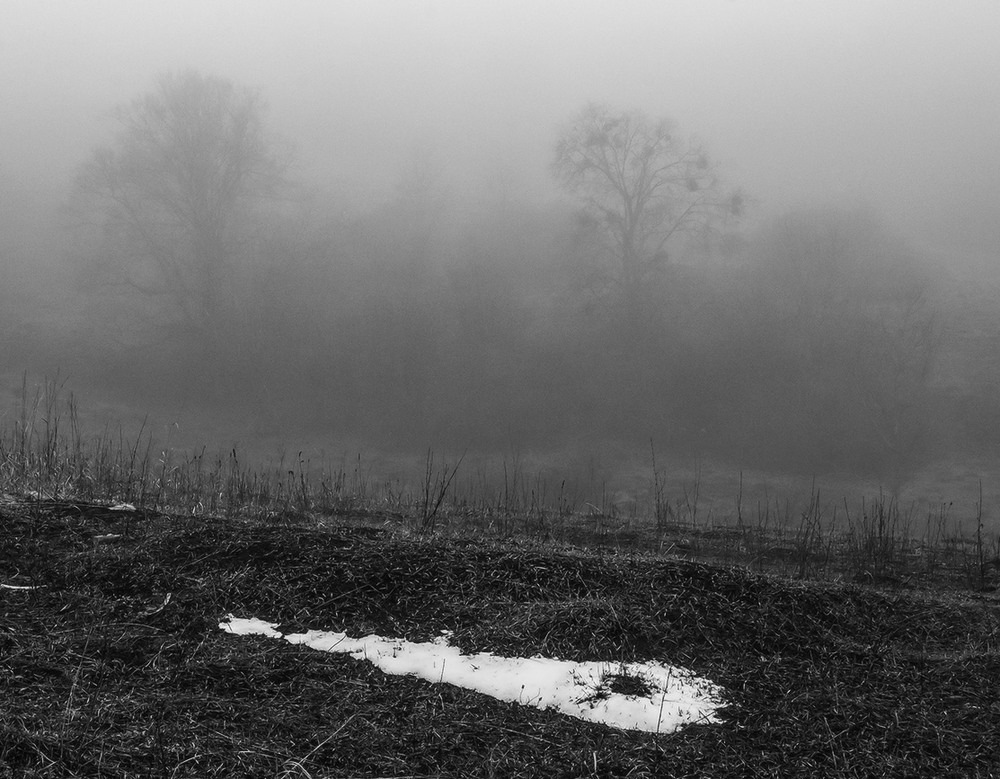 Фотографія *** / Евгений Шамай / photographers.ua