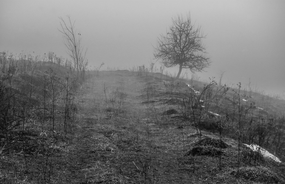 Фотографія *** / Евгений Шамай / photographers.ua