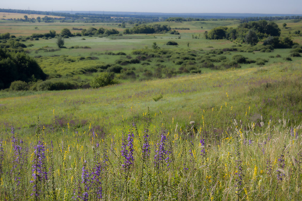 Фотографія *** / Евгений Шамай / photographers.ua