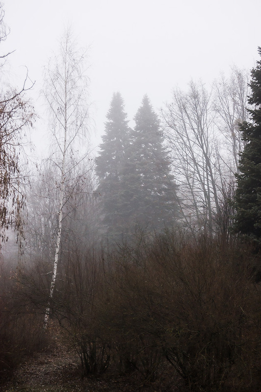 Фотографія *** / Евгений Шамай / photographers.ua