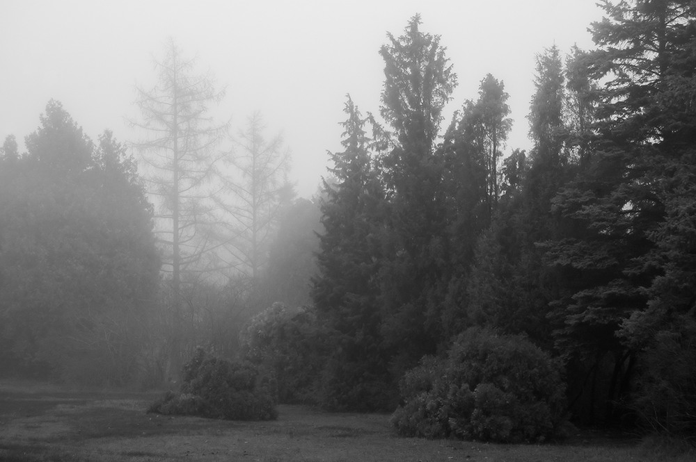 Фотографія *** / Евгений Шамай / photographers.ua