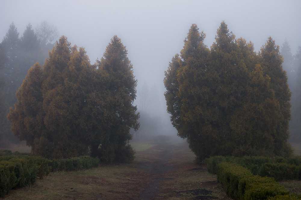 Фотографія *** / Евгений Шамай / photographers.ua