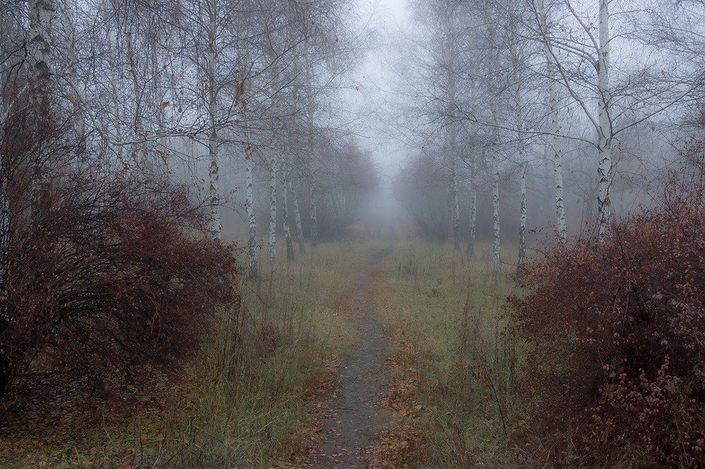 Фотографія *** / Евгений Шамай / photographers.ua