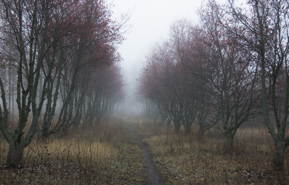 Фотографія *** / Евгений Шамай / photographers.ua