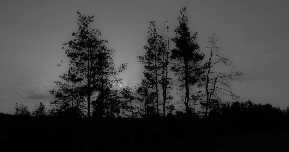 Фотографія *** / Евгений Шамай / photographers.ua