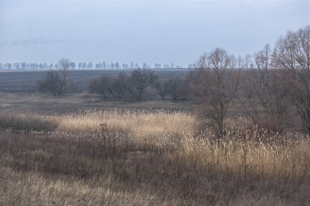 Фотографія *** / Евгений Шамай / photographers.ua