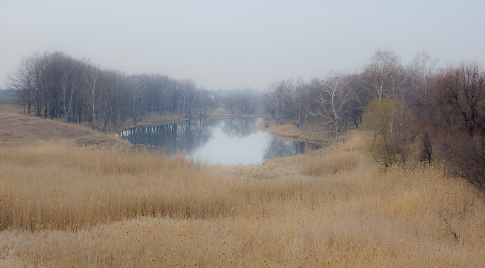 Фотографія *** / Евгений Шамай / photographers.ua