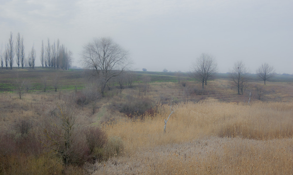 Фотографія *** / Евгений Шамай / photographers.ua