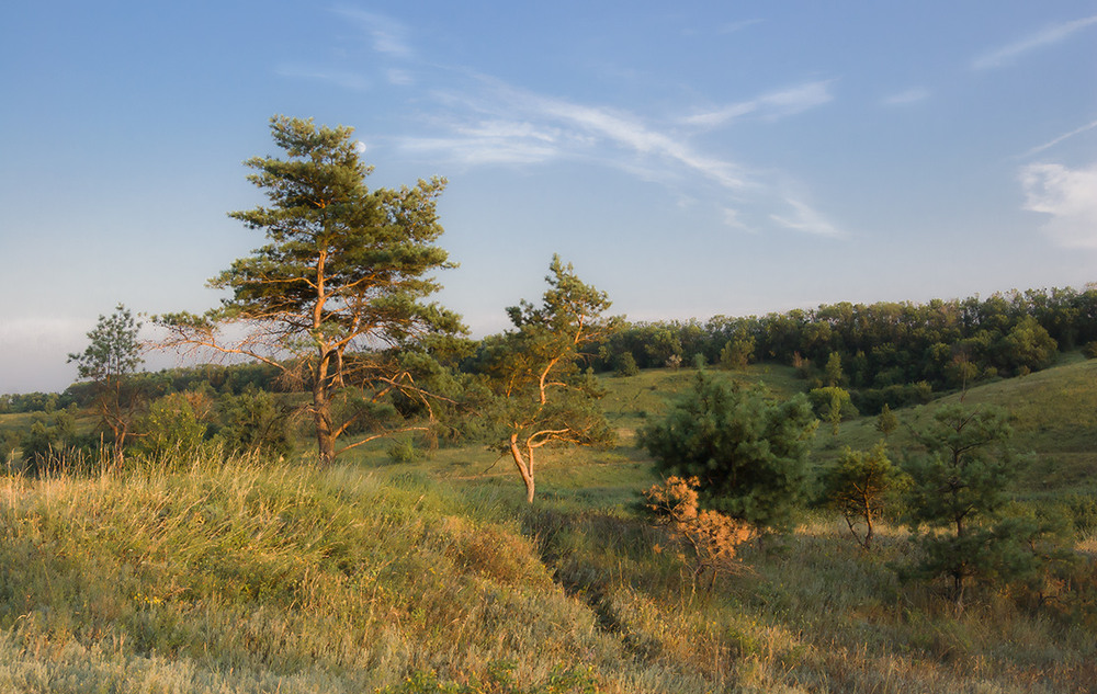 Фотографія *** / Евгений Шамай / photographers.ua
